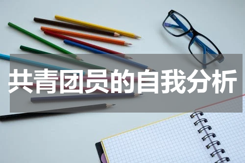 共青团员的自我分析
