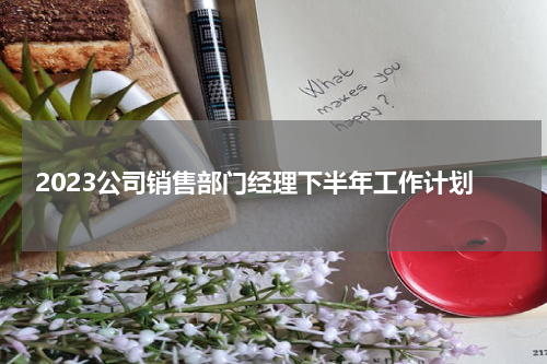 2023公司销售部门经理下半年工作计划