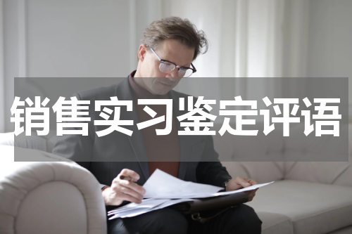 销售实习鉴定评语