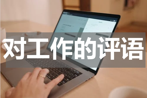 对工作的评语