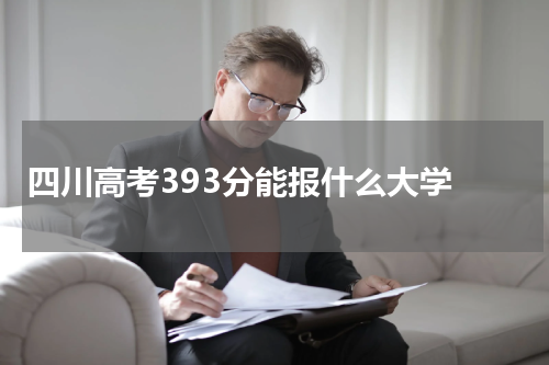 四川省高考393分的考生能报哪些大学2023年