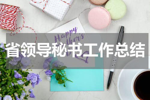 省领导秘书工作总结