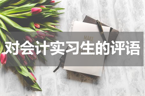 对会计实习生的评语