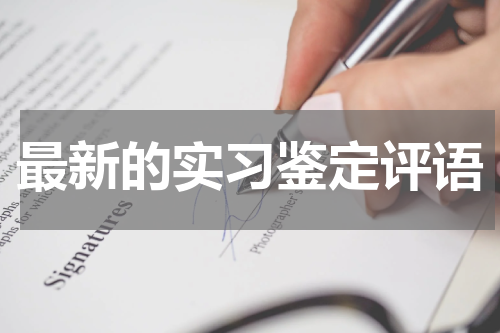 最新的实习鉴定评语