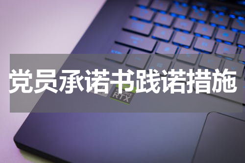 党员承诺书践诺措施