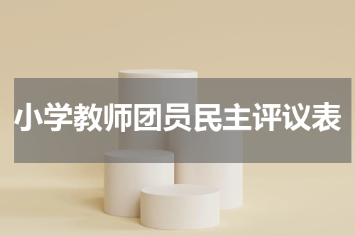 小学教师团员民主评议表