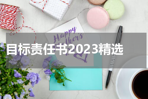 目标责任书2023精选