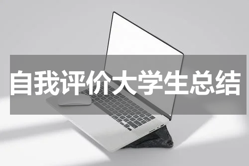 自我评价大学生总结