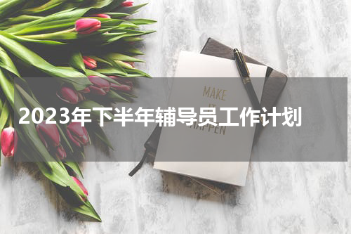 2023年下半年辅导员工作计划
