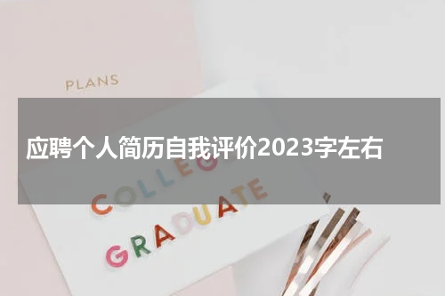 应聘个人简历自我评价2023字左右