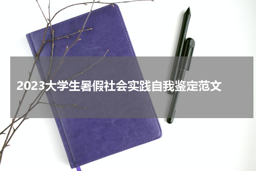 2023大学生暑假社会实践自我鉴定范文