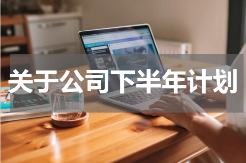 关于公司下半年计划
