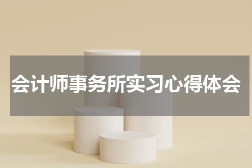 会计师事务所实习心得体会