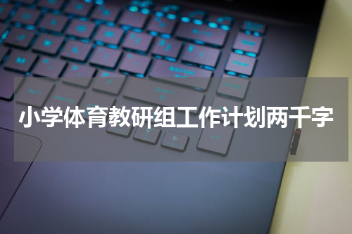 小学体育教研组工作计划两千字