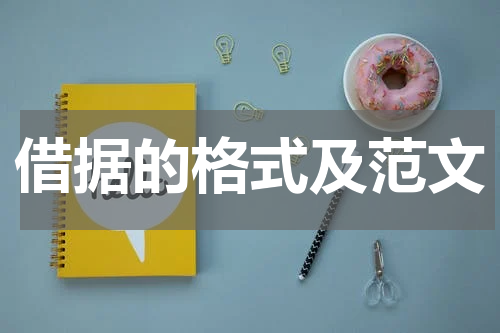 借据的格式及范文