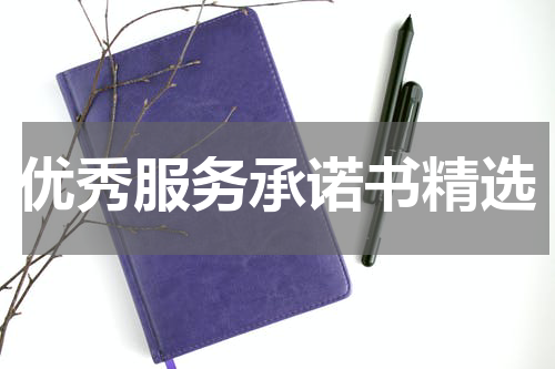优秀服务承诺书精选