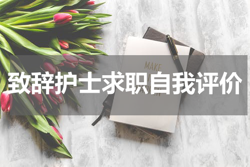 致辞护士求职自我评价