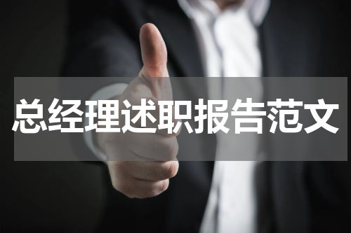 总经理述职报告范文