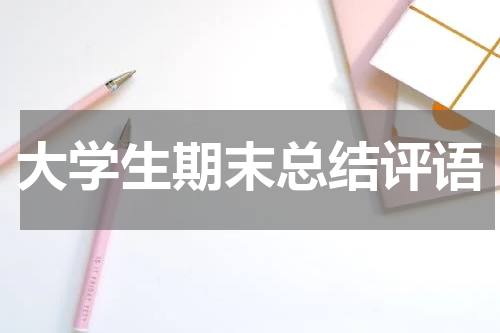 大学生期末总结评语