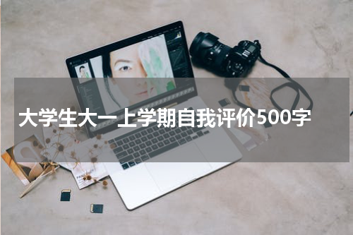 大学生大一上学期自我评价500字