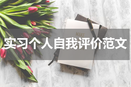 实习个人自我评价范文