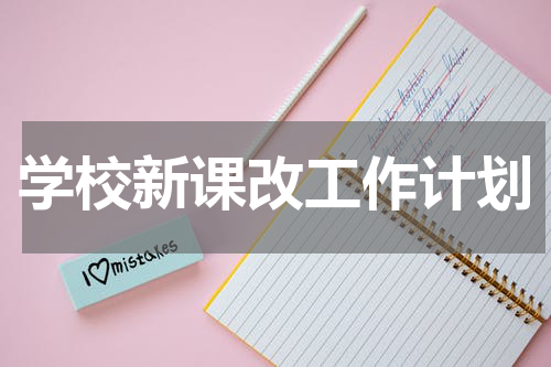 学校新课改工作计划