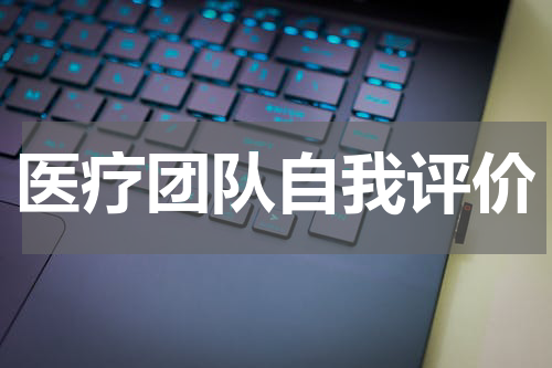 医疗团队自我评价