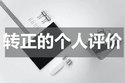 转正的个人评价