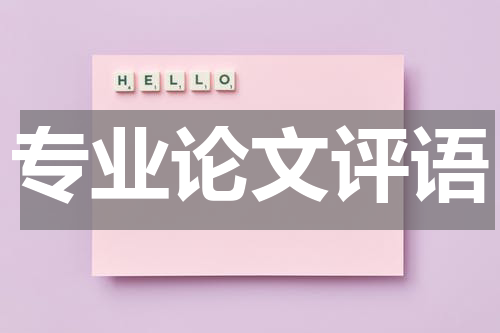 专业论文评语