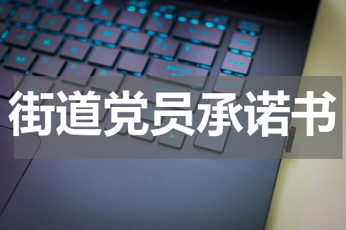 街道党员承诺书