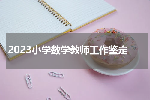 2023小学数学教师工作鉴定