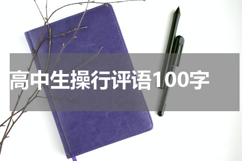 高中生操行评语100字