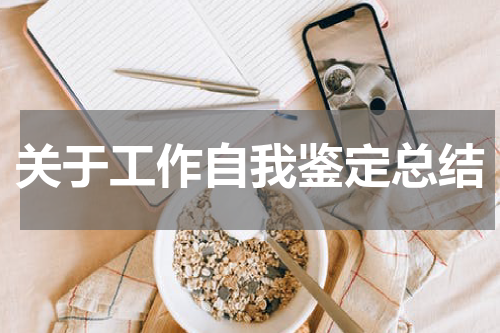 关于工作自我鉴定总结