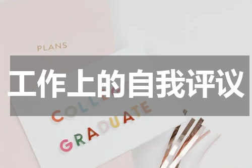 工作上的自我评议