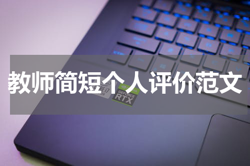 教师简短个人评价范文