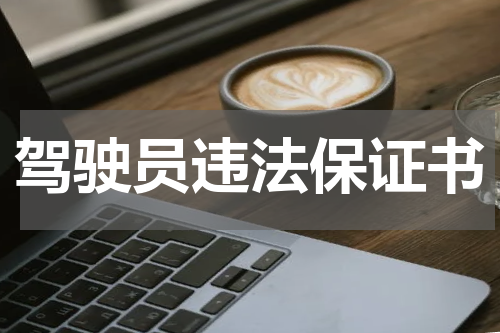 驾驶员违法保证书