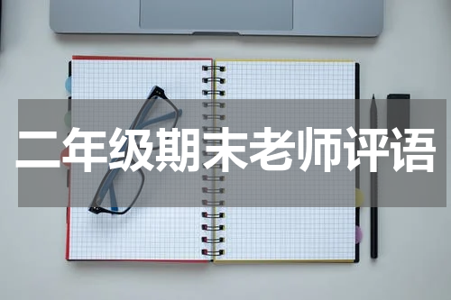 二年级期末老师评语