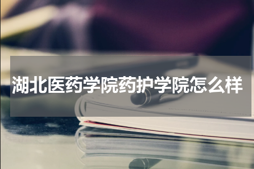 湖北医药学院药护学院怎么样?就业前景如何?