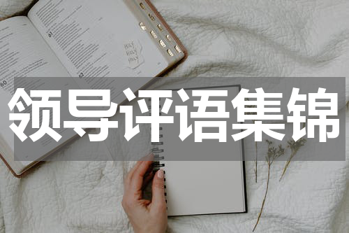 领导评语集锦