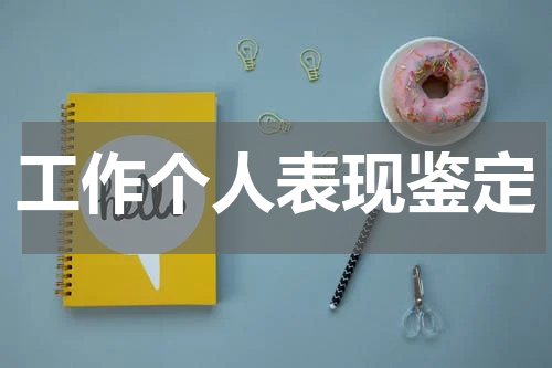 工作个人表现鉴定