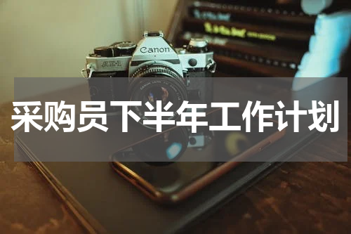 采购员下半年工作计划