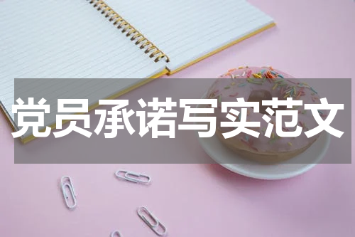 党员承诺写实范文