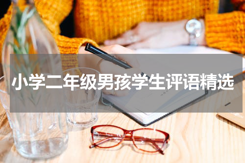 小学二年级男孩学生评语精选