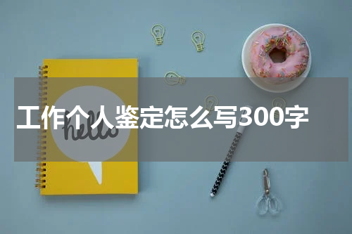 工作个人鉴定怎么写300字