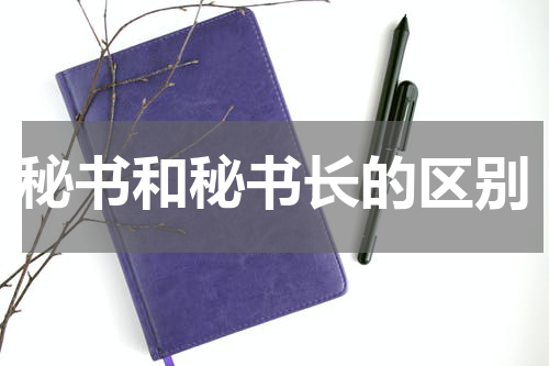 秘书和秘书长的区别