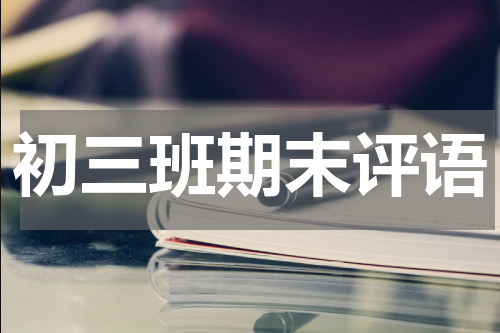 初三班期末评语