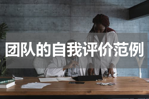 团队的自我评价范例