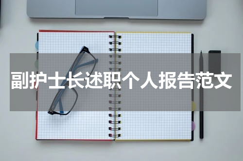 副护士长述职个人报告范文