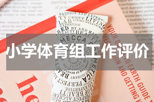 小学体育组工作评价