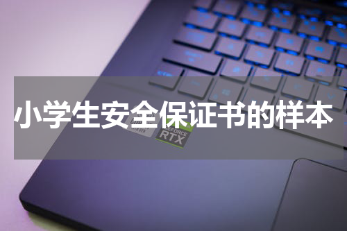 小学生安全保证书的样本